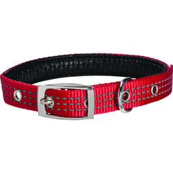 Halsband Renfort Rot Bobby