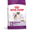 Royal Canin Giant Adult 