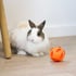 Intelligentiespeelgoed voor knaagdieren en konijnen