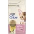 PURINA CAT CHOW pour Chaton