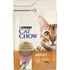 PURINA CAT CHOW pour Chat Adulte