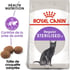 Croquettes pour chat Royal Canin : Nos bons plans