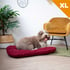 Coussin pour chien pas cher