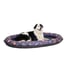 Piscine pour chien