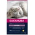 Eukanuba voor kittens
