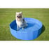Zwembad voor honden