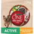 PURINA ONE Mini Chien Adulte