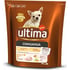 ULTIMA Chien Adulte