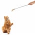 Canna da pesca per gatto