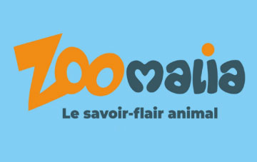 Zoomalia annonce le lancement de son nouvel univers dédié aux chevaux