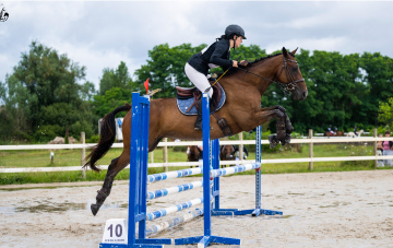 L’animalerie en ligne Zoomalia se dote d’une gamme pour chevaux