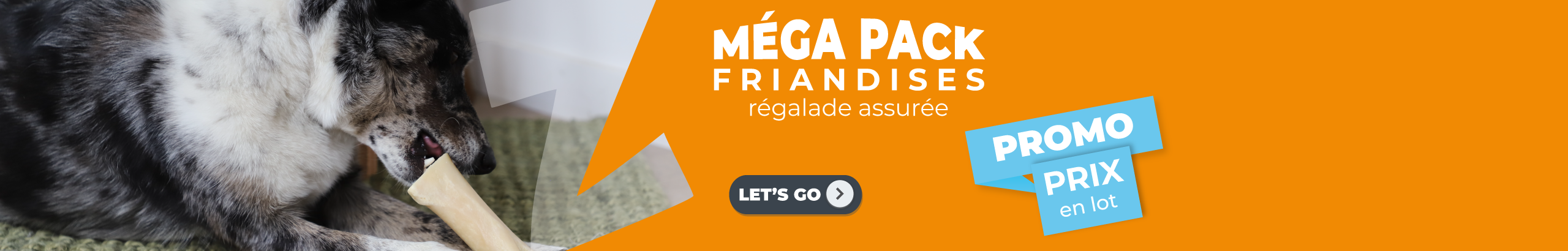 MEGA PACK FRIANDISES 2024 