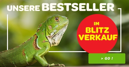 best sellers reptiles