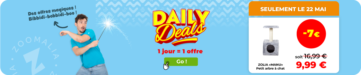 DAILY DEALS 