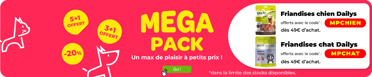 WB MEGA PACK AOUT 2024 