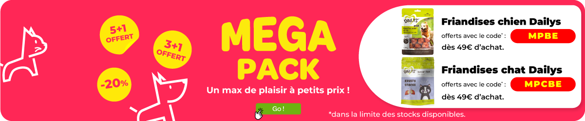 WB MEGA PACK AOUT 2024 