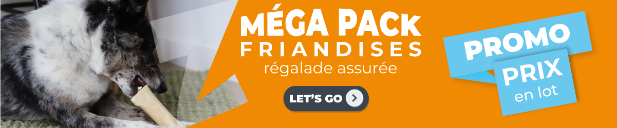 MEGA PACK FRIANDISES 2024 