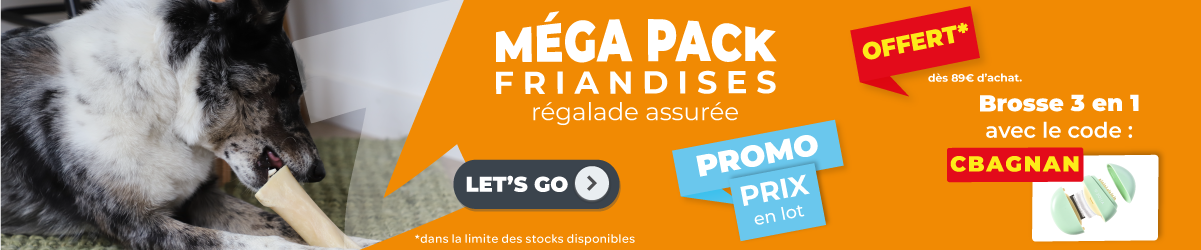 WB MEGA PACK FRIANDISES 2024 