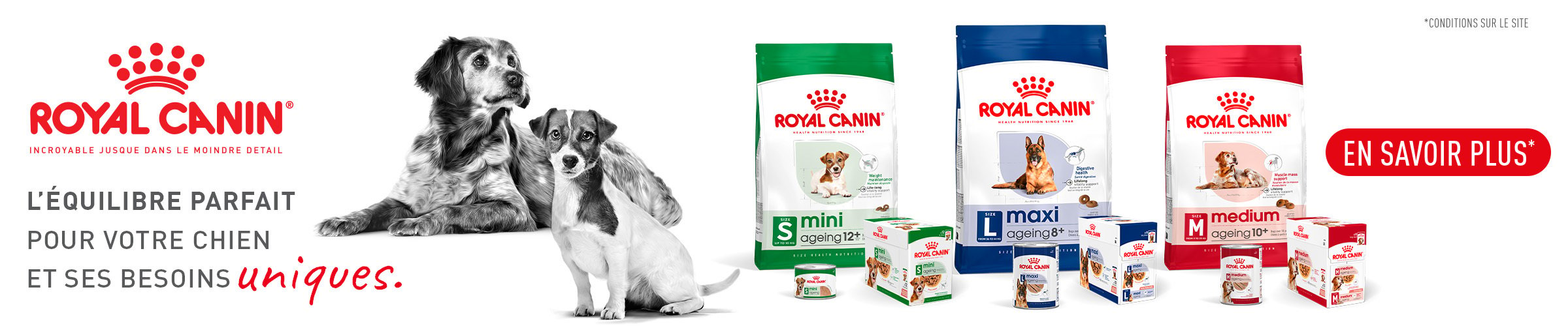 Croquettes et pâtées Royal Canin