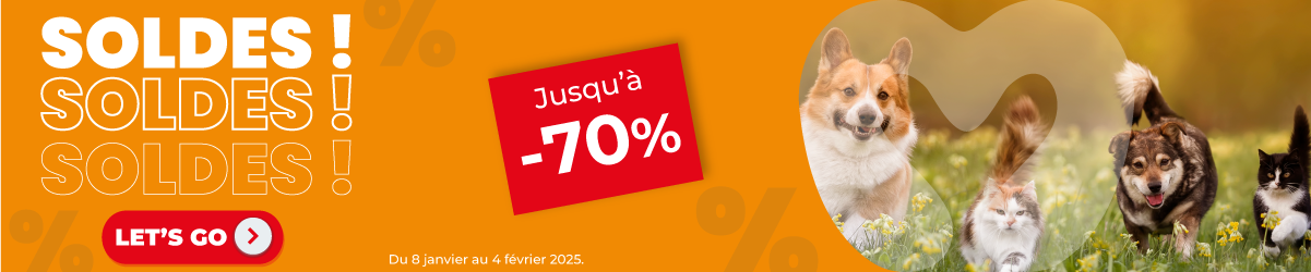 SOLDES JANVIER 2025 