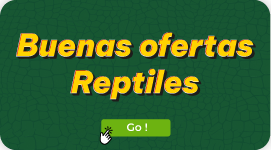 REPTILES 2024 