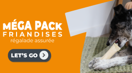 MEGA PACK FRIANDISES 2024 