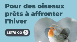 OISEAUX DU CIEL 2024 