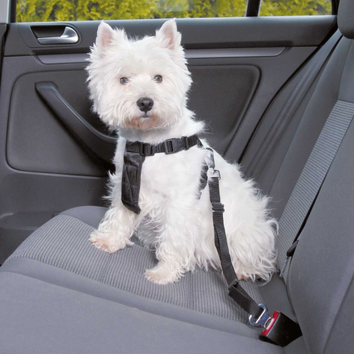 Ceinture de sécurité de chien Chiot Voiture Harnais de ceinture de