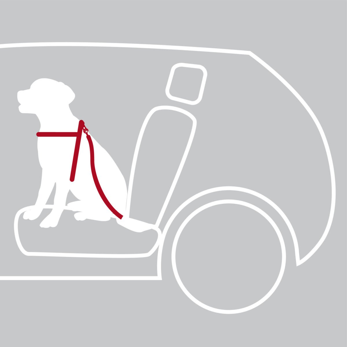 Arnês para transporte em carro de todas as raças de cães