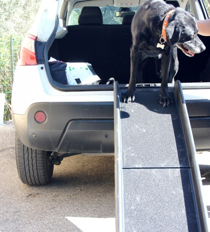 rampe pour animaux Rampe pour chien rampe pour voiture légère et solide 
