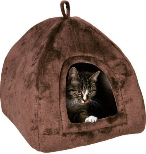 Igloo pour chat