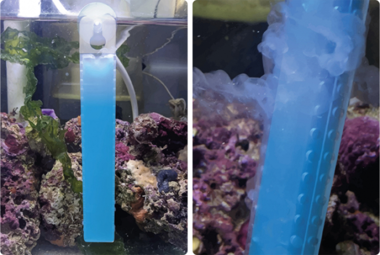 Gel Marin Waste-Away Nettoyant d’aquarium eau de mer - plusieurs tailles disponibles