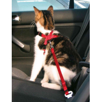 Cinturón de seguridad para gatos con arnés