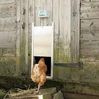 Puerta automática para gallinero Zolia - 2 tamaños