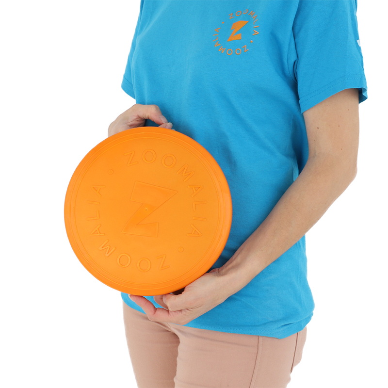 carac frisbee