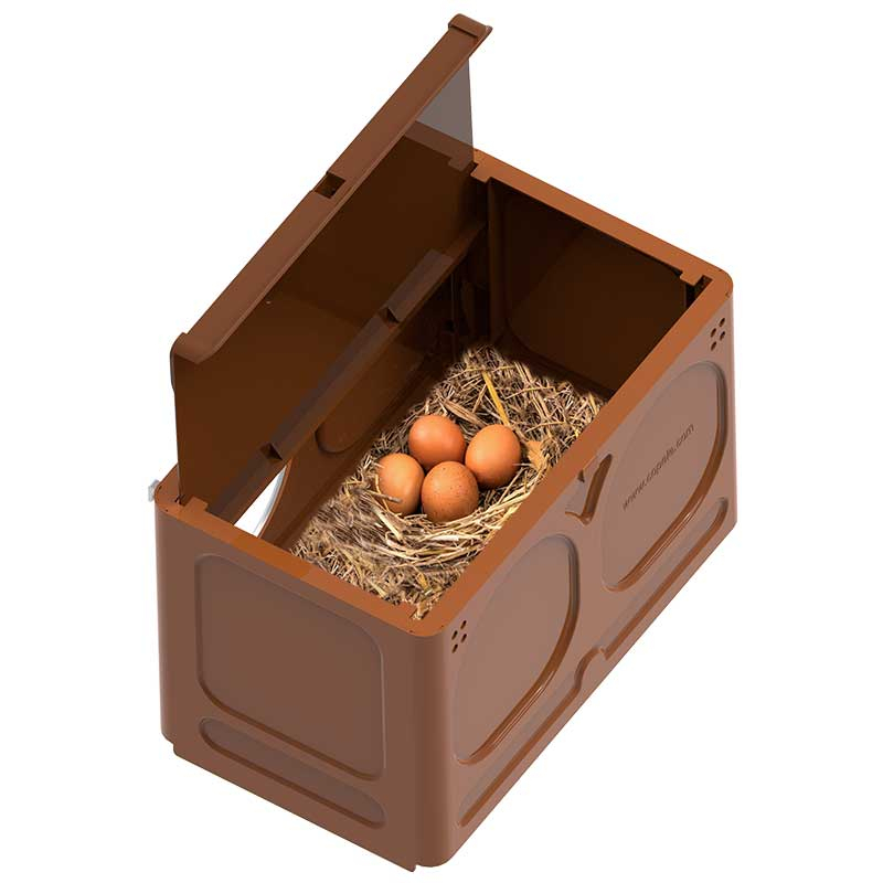COPELE Nido-Avi Nest für Hühner