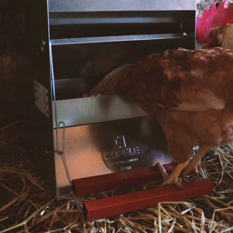 COPELE Safeed Comedero automático para gallinas - varios tamaños