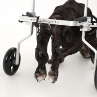 Carrello per cani disabili zampe posteriori Zolia