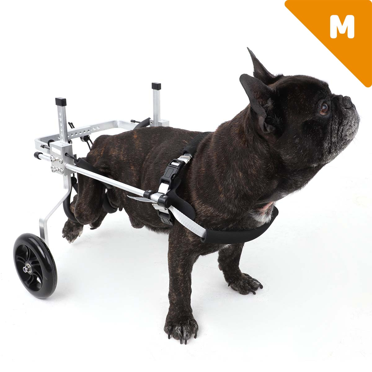 Cadeira de rodas para patas traseiras Zolia