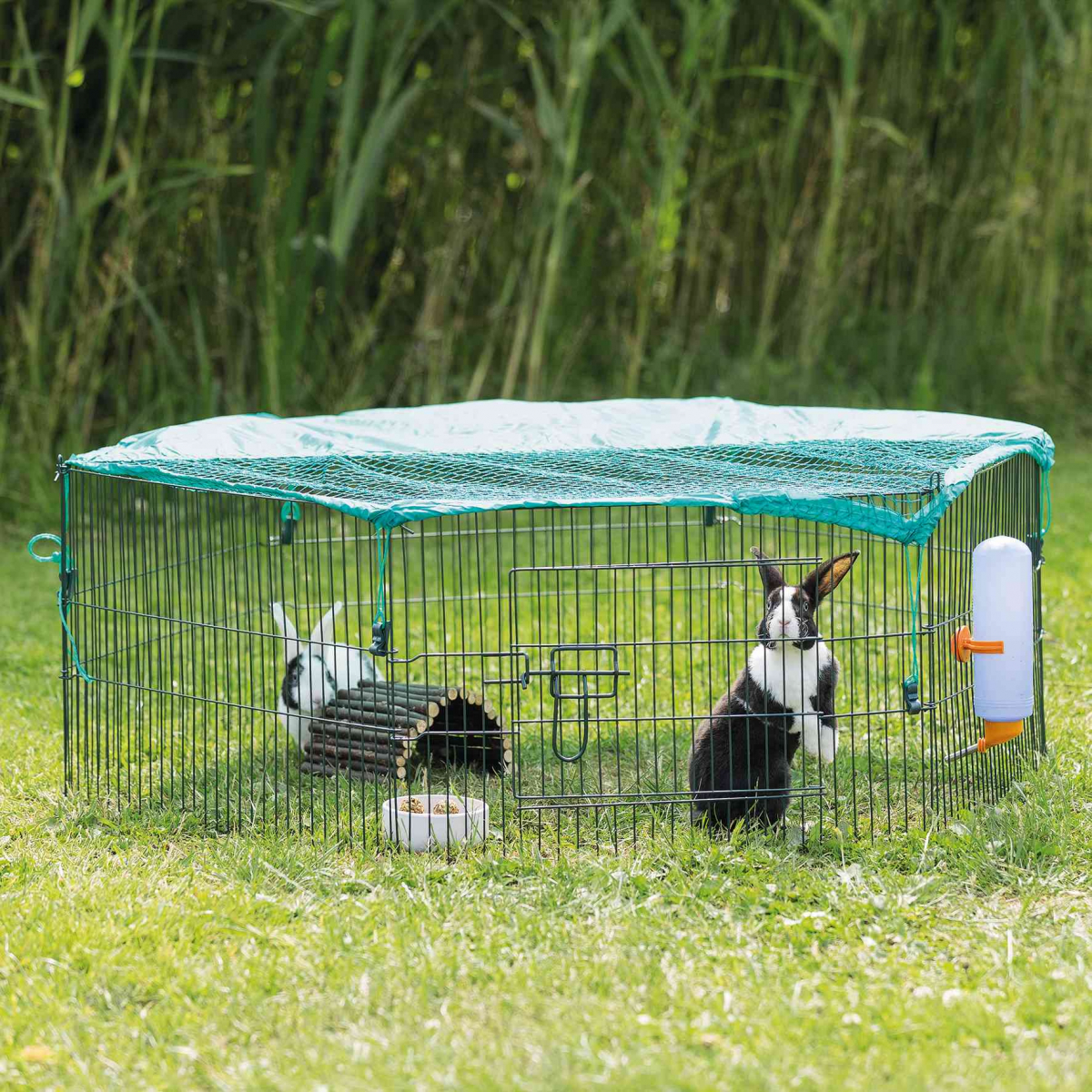 Enclos animalier pour lapins Parc d'intérieur petits animaux