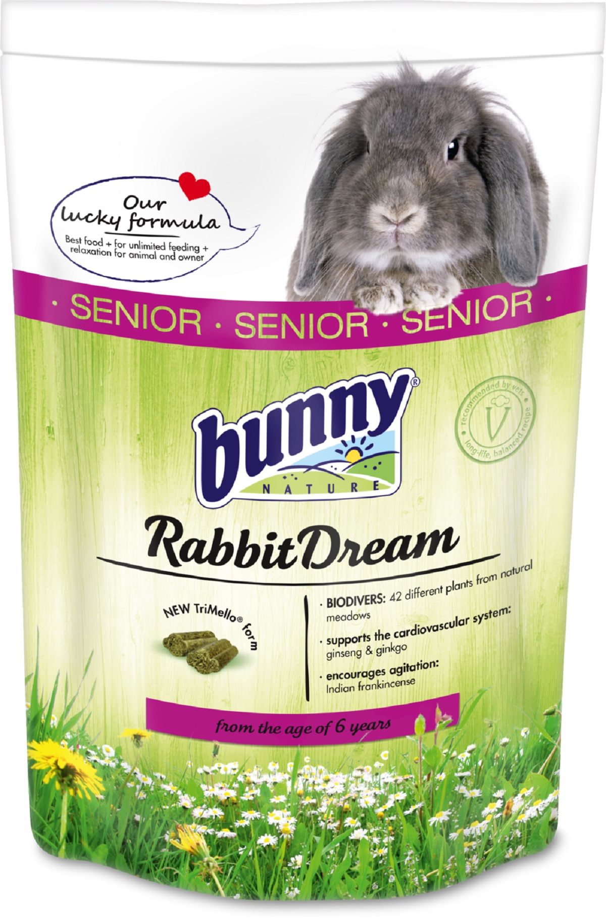 BUNNY RabbitDream Senior