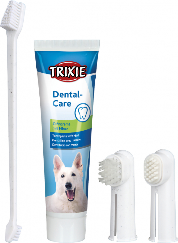 Set higiene dental para perro 