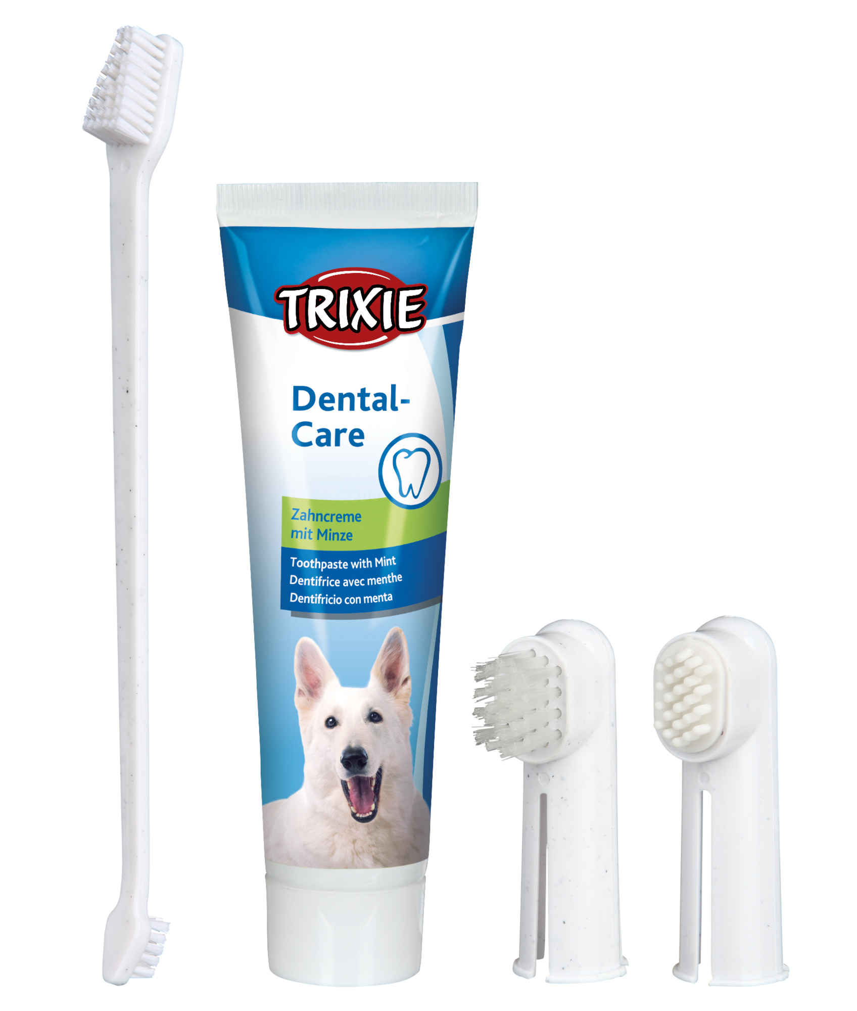 Set hygiène dentaire pour chien