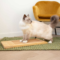 Griffoir chat sisal et pin - Zolia Lung - 28 x 58 cm