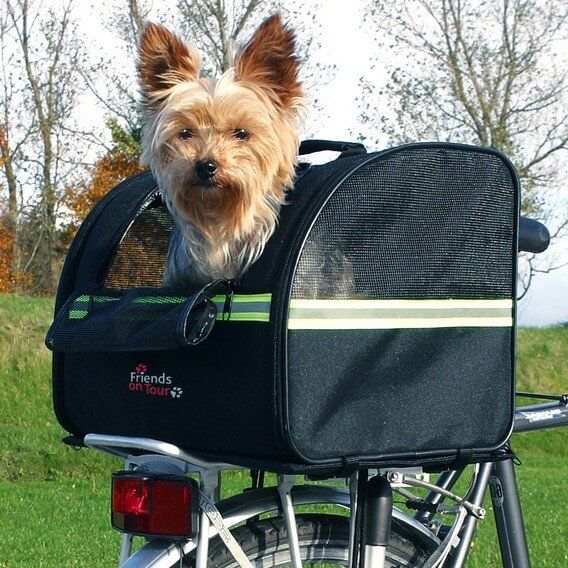 Panier vélo chien / Biker-Bag