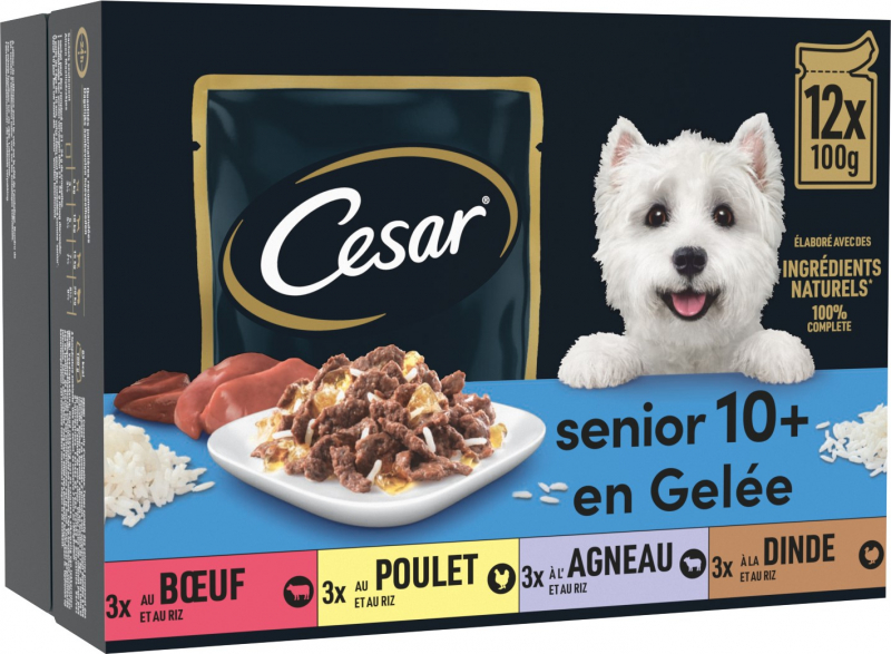 CESAR Senior 10+ Alimento húmido em gelatina para cão sénior em saquetas frescas - 12 x 100g