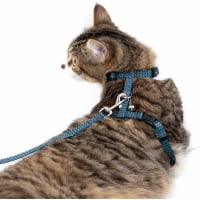 Halsband, lijn en tuigje voor katten