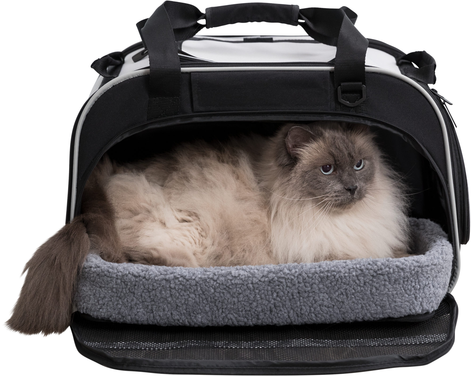 Transporttasche für Katzen und kleine Hunde Valery
