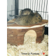 Maison-d'angle-pour-hamster,-cochon-d'Inde,-lapin-Natural-Living-Jesper_de_audrey_7954726735c278c7eb87b23.77538754