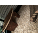 Maison-d'angle-pour-hamster,-cochon-d'Inde,-lapin-Natural-Living-Jesper_de_audrey_1005018915c2517bddc7982.31891738